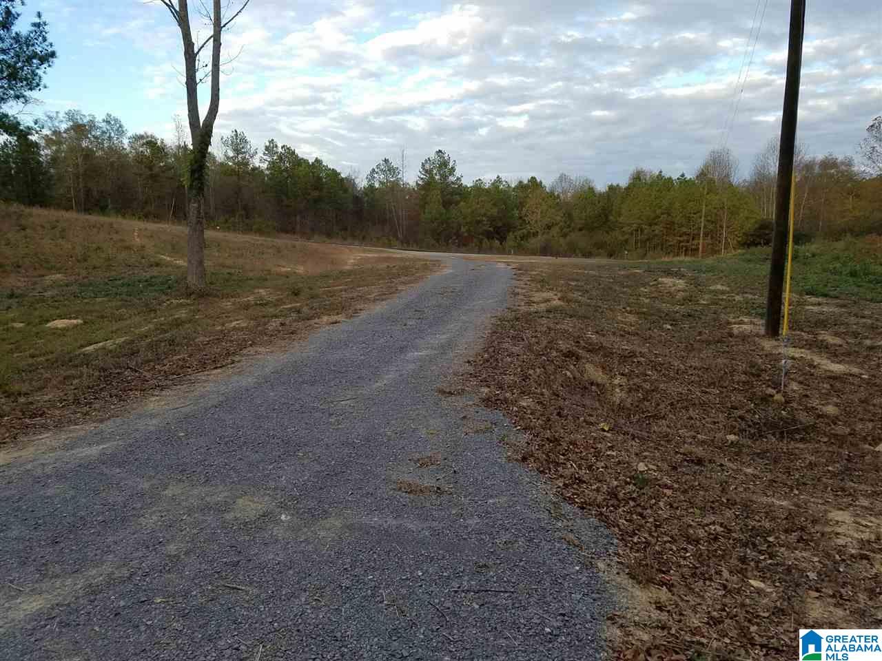 3663 Welcome Home Church Road Horton, AL 35980 - Photo 8 of 17
