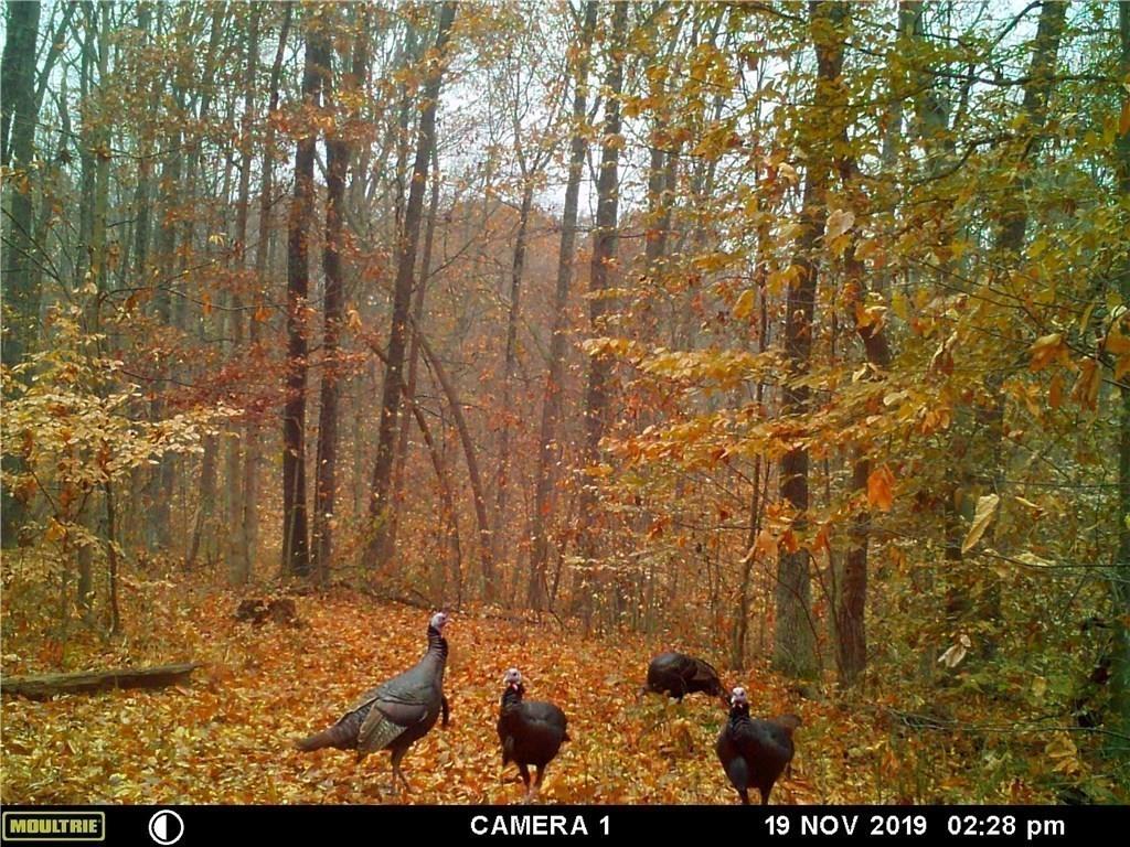 0 East Georgetown Road Columbus, IN 47448 - Photo 11 of 20