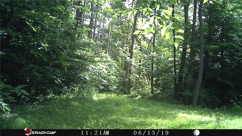 0 East Georgetown Road Columbus, IN 47448 - Photo 12 of 20