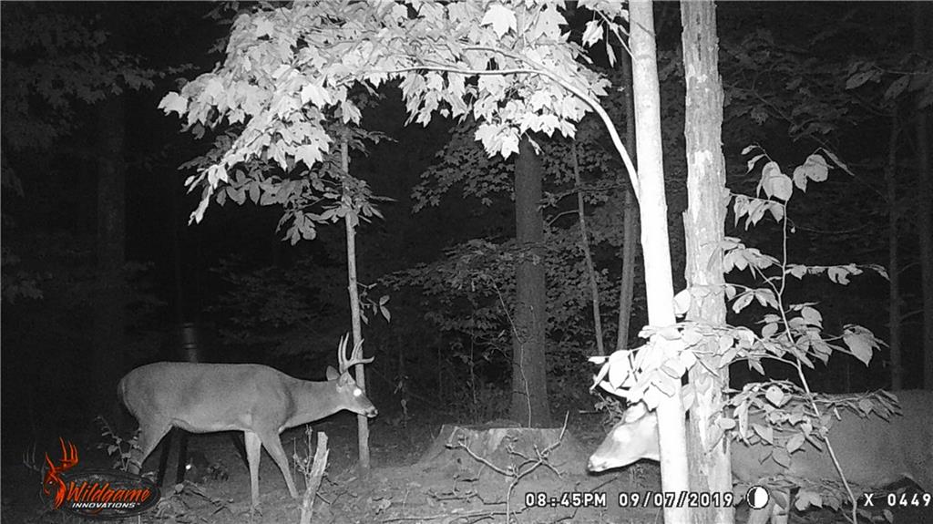 0 East Georgetown Road Columbus, IN 47448 - Photo 17 of 20
