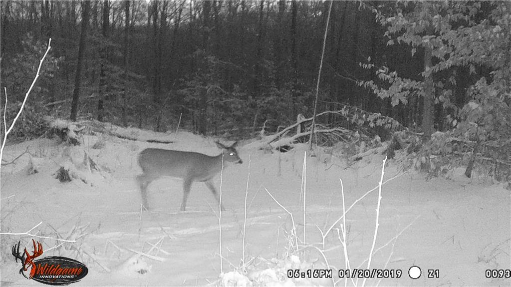 0 East Georgetown Road Columbus, IN 47448 - Photo 18 of 20