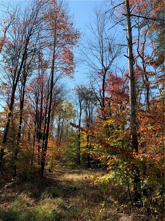 0 East Georgetown Road Columbus, IN 47448 - Photo 3 of 20