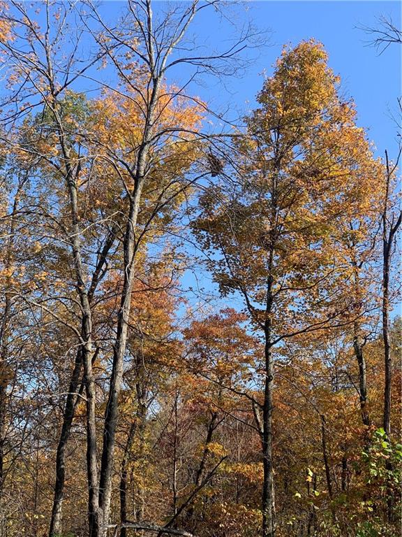0 East Georgetown Road Columbus, IN 47448 - Photo 5 of 20