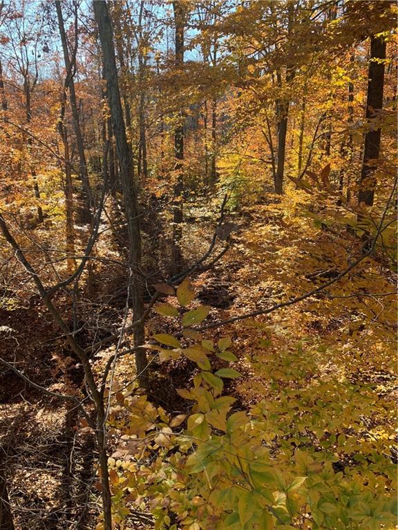 0 East Georgetown Road Columbus, IN 47448 - Photo 7 of 20