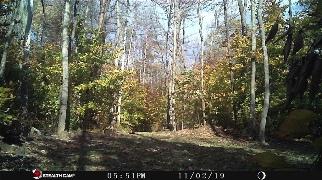 0 East Georgetown Road Columbus, IN 47448 - Photo 8 of 20