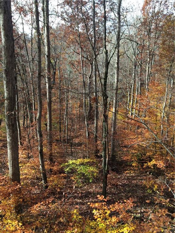 0 East Georgetown Road Columbus, IN 47448 - Photo 9 of 20