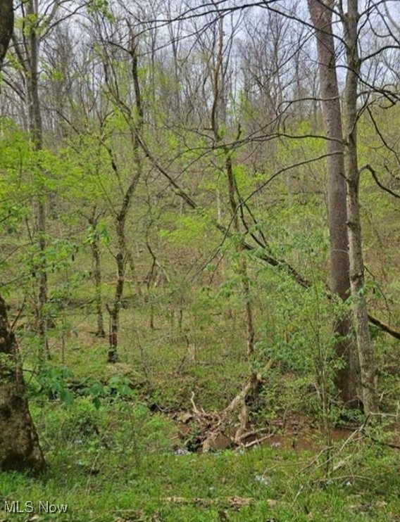 1247 Rocky Branch Road Spencer, WV 25276 - Photo 3 of 9