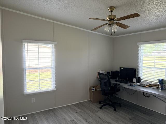 217 Francktown Road Richlands, NC 28574 - Photo 24 of 56 image3