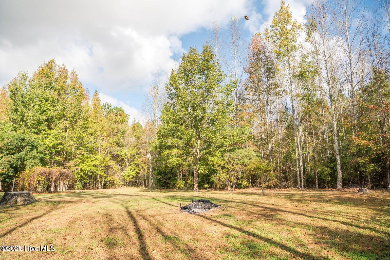 1102 Mt Tabor Road Creswell, NC 27928 - Photo 19 of 20 1102 Mt Tabor Pic 15