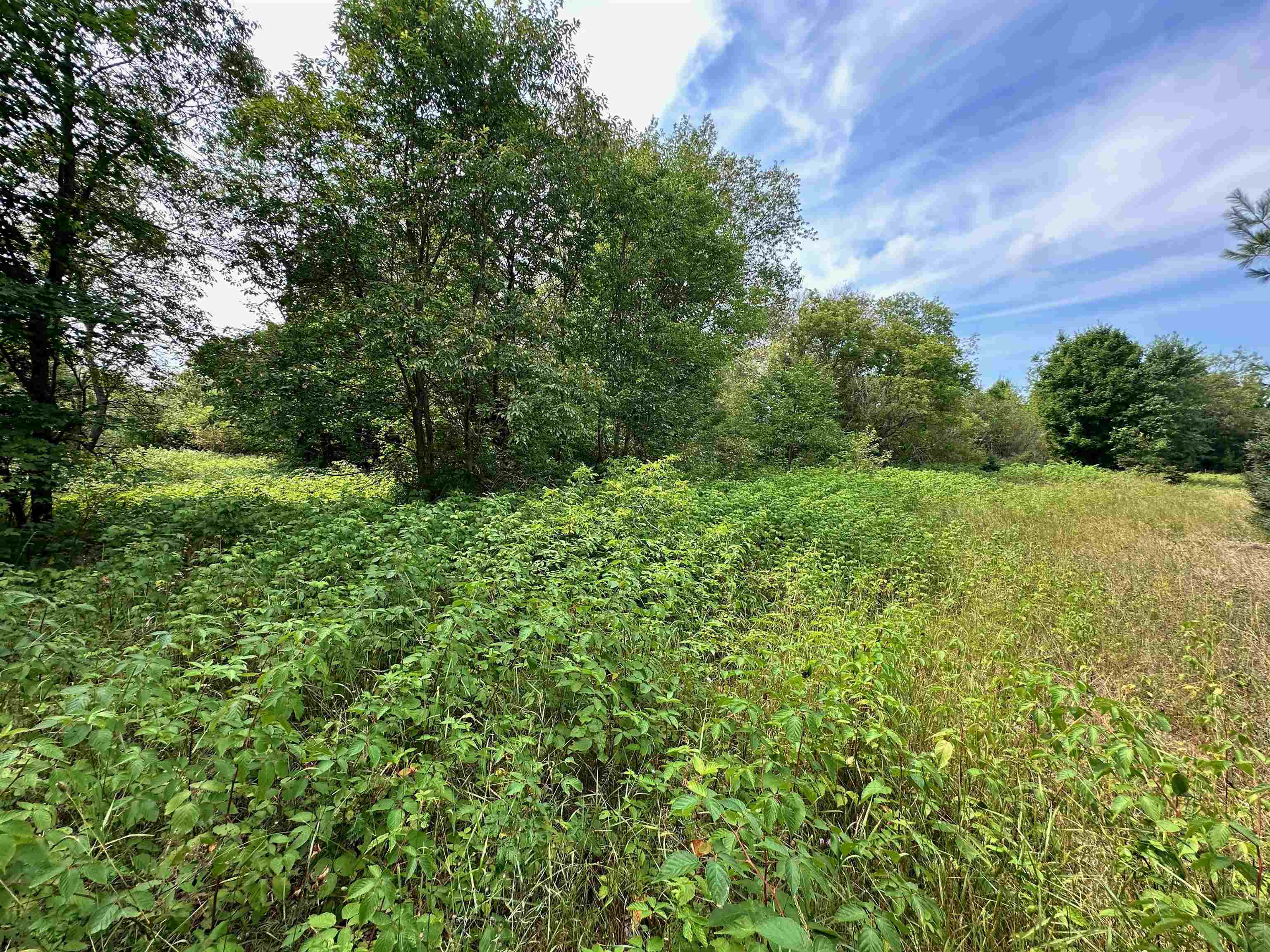 7658 Cedar River Road Mancelona, MI 49659 - Photo 13 of 24 1949521-5ac115a8-77b2-4200-afc1-33dd15a89e3f.JPG