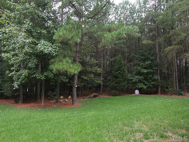 6 Piney Grove Road Bahama, NC 27503 - Photo 20 of 25 Back Yard