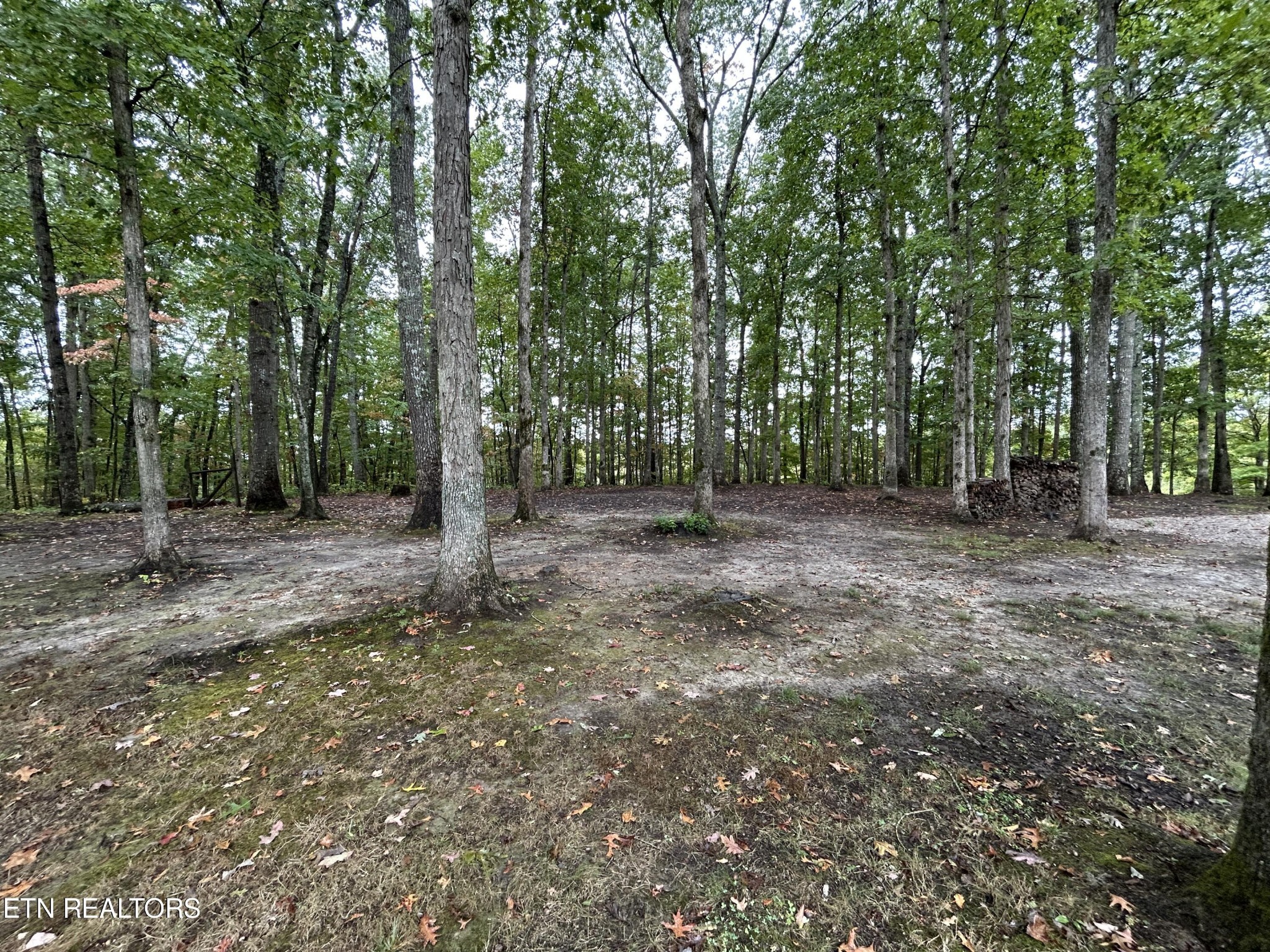 1346 Stephens Road Jamestown, TN 38556 - Photo 13 of 57 Gallery Image 13