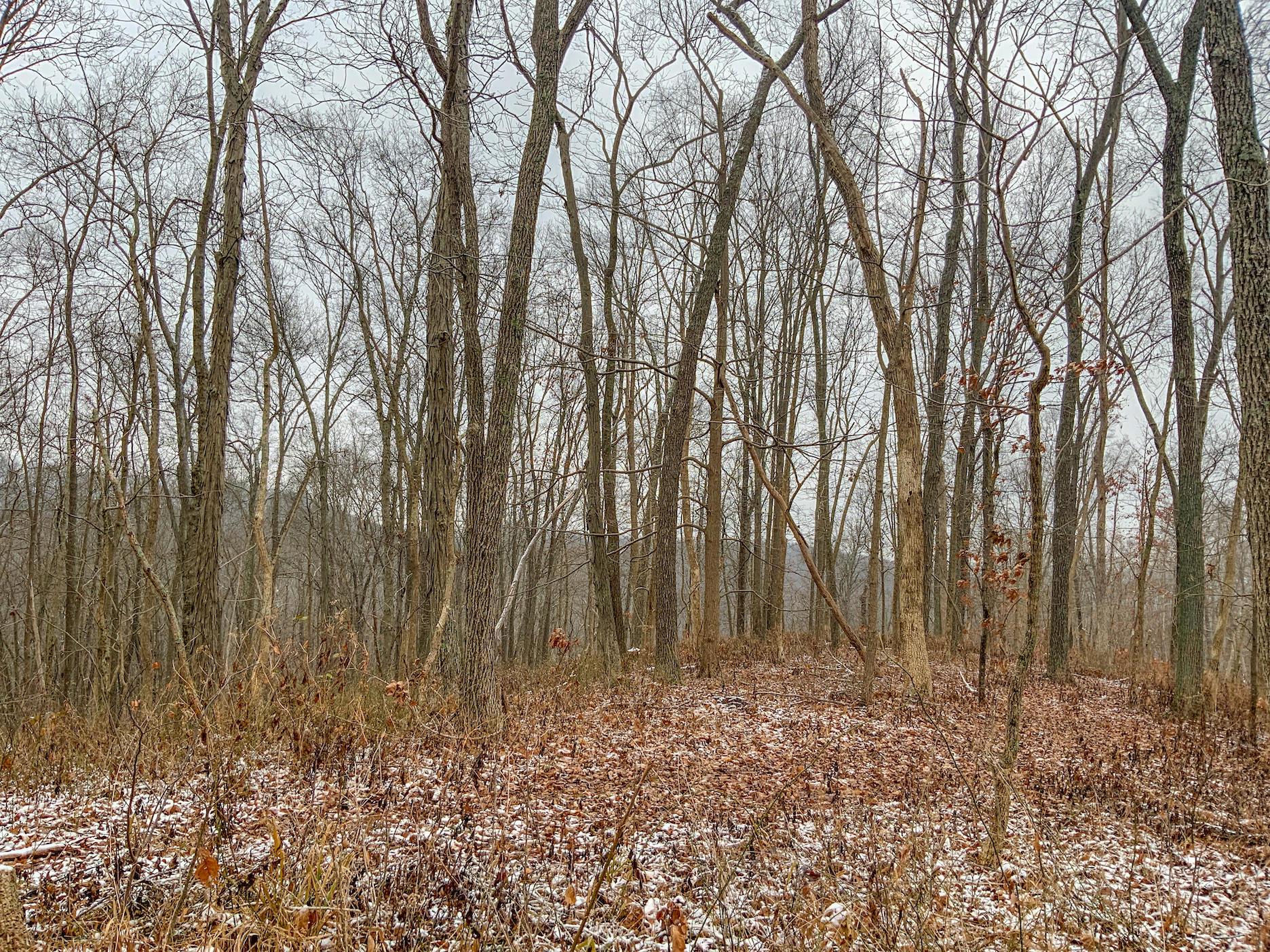 0 Meadow Run Road Waverly, OH 45690 - Photo 13 of 74 Gallery Image 13
