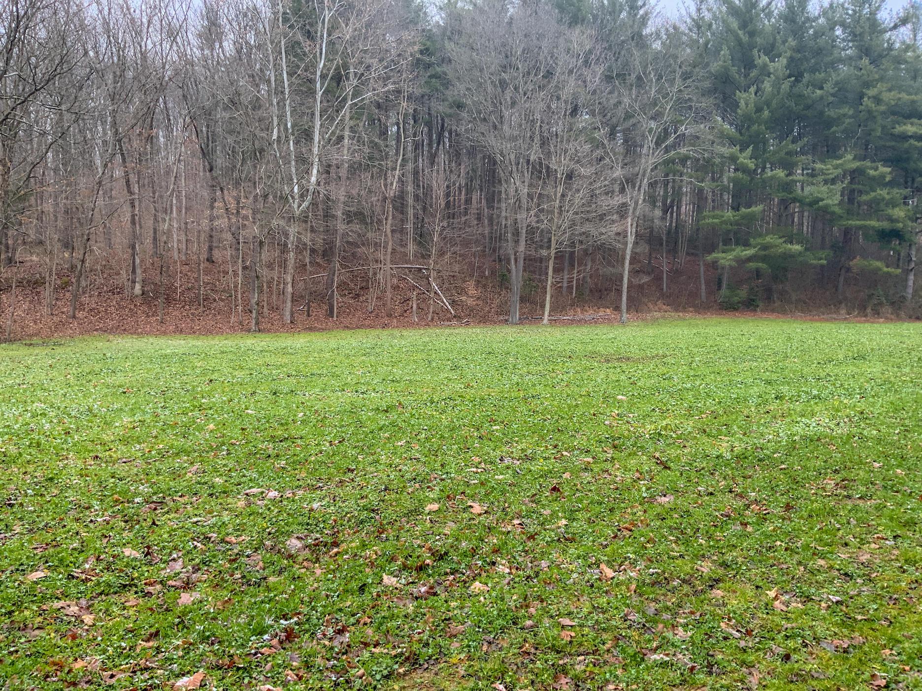 0 Meadow Run Road Waverly, OH 45690 - Photo 2 of 74 Gallery Image 2