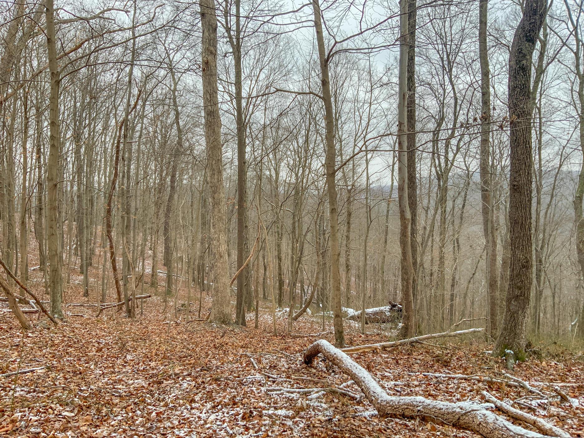 0 Meadow Run Road Waverly, OH 45690 - Photo 22 of 74 Gallery Image 22
