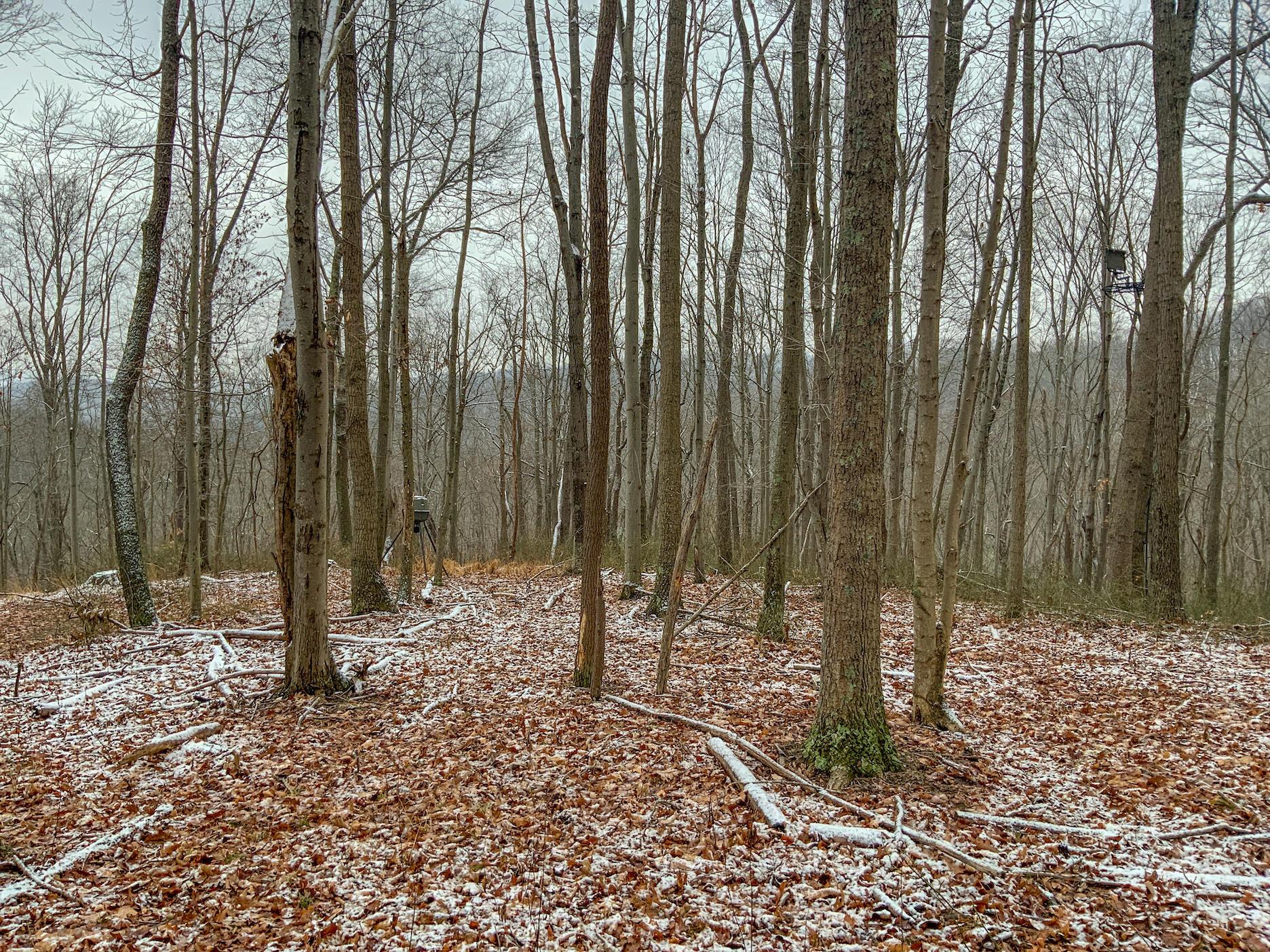0 Meadow Run Road Waverly, OH 45690 - Photo 26 of 74 Gallery Image 26