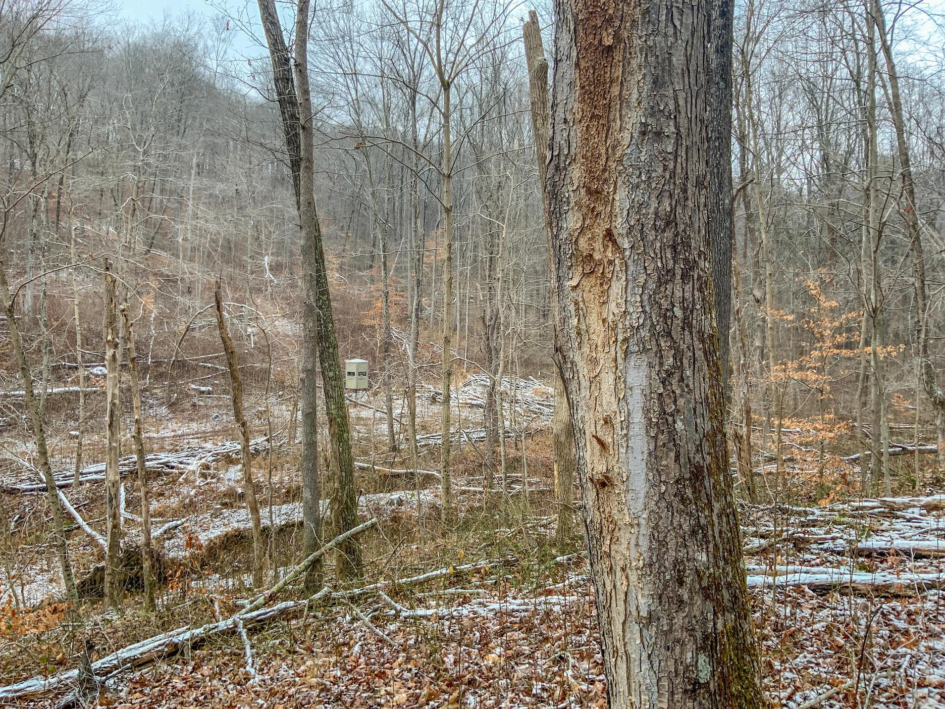 0 Meadow Run Road Waverly, OH 45690 - Photo 27 of 74 Gallery Image 27