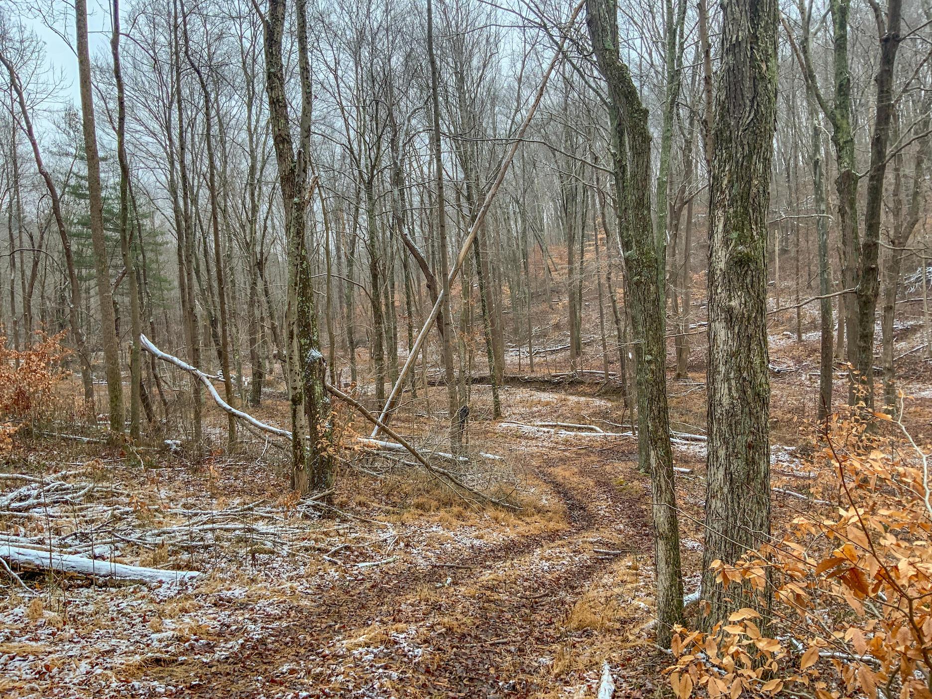 0 Meadow Run Road Waverly, OH 45690 - Photo 28 of 74 Gallery Image 28