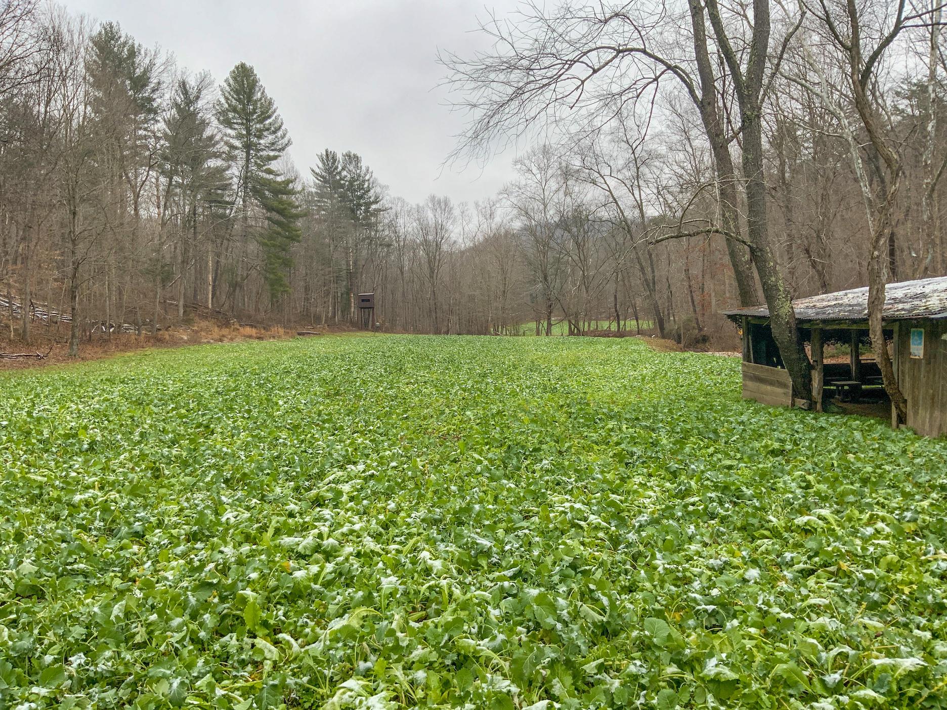 0 Meadow Run Road Waverly, OH 45690 - Photo 3 of 74 Gallery Image 3