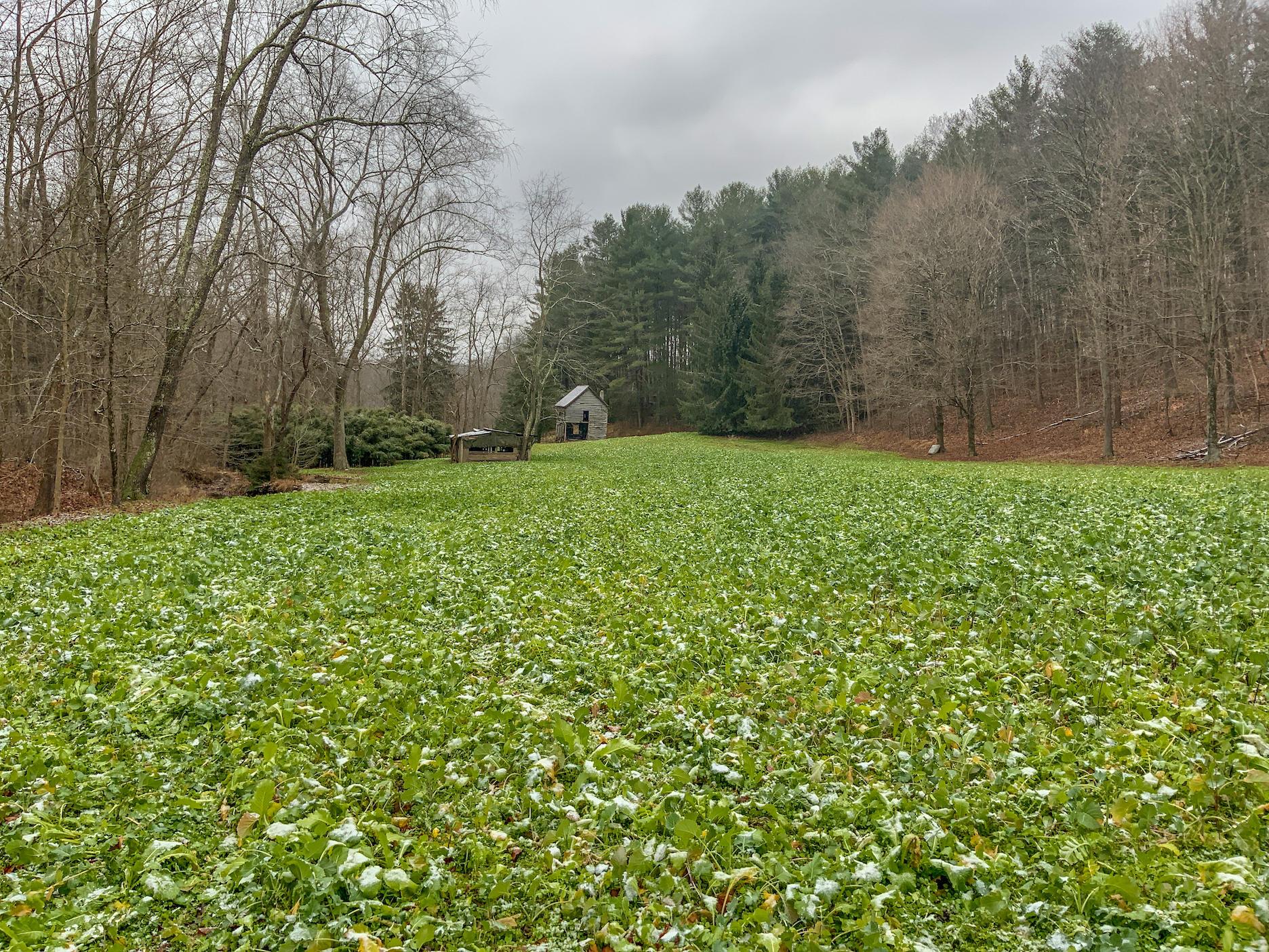 0 Meadow Run Road Waverly, OH 45690 - Photo 34 of 74 Gallery Image 34