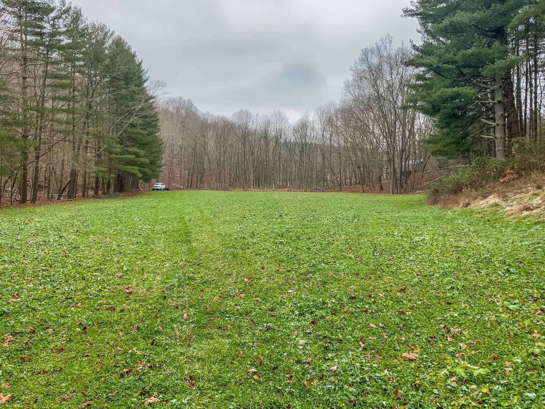0 Meadow Run Road Waverly, OH 45690 - Photo 44 of 74 Gallery Image 44