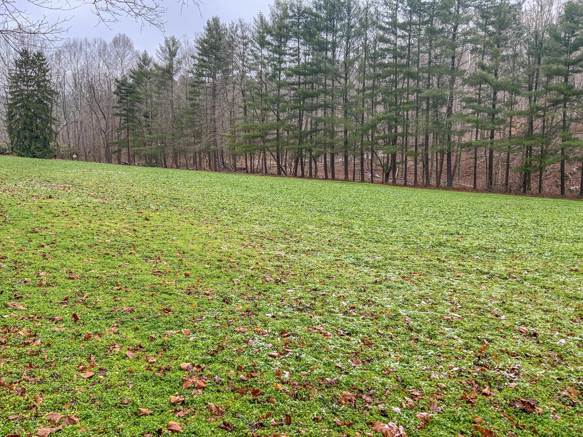 0 Meadow Run Road Waverly, OH 45690 - Photo 48 of 74 Gallery Image 48