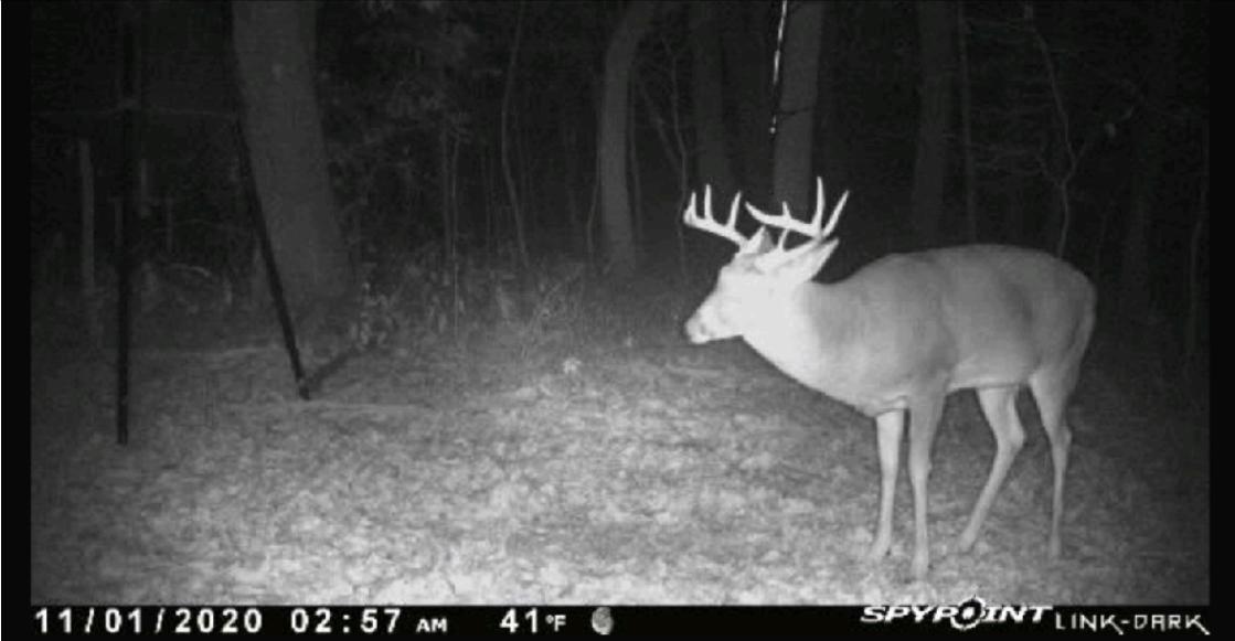 0 Meadow Run Road Waverly, OH 45690 - Photo 70 of 74 Gallery Image 70