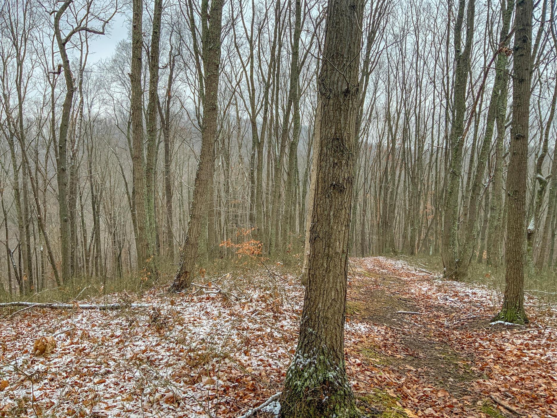 0 Meadow Run Road Waverly, OH 45690 - Photo 7 of 74 Gallery Image 7