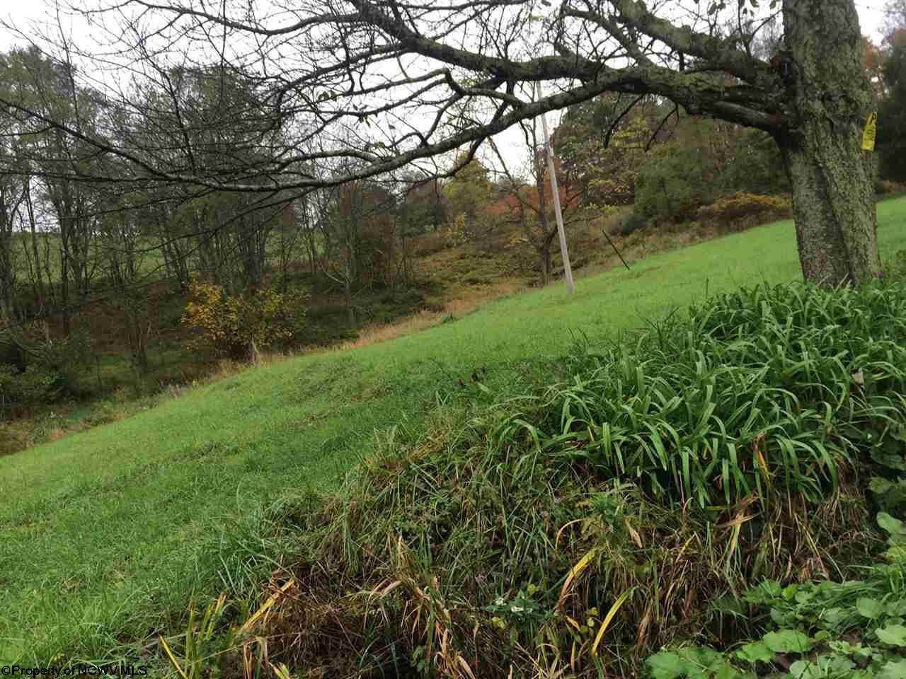 600 Rag Tavern Road Terra Alta, WV 26764 - Photo 11 of 14 Gallery Image 11