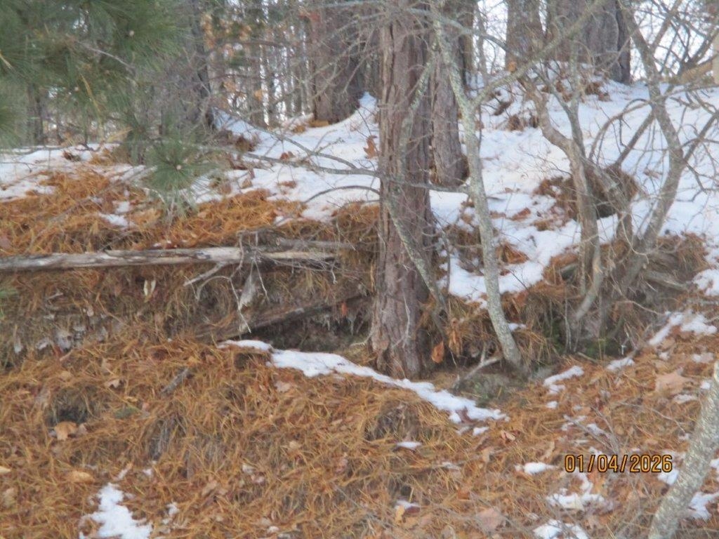 164 Leavitt Road Ossipee, NH 03814 - Photo 24 of 32