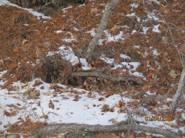 $799,000 | 164 Leavitt Road, Ossipee, NH 03814