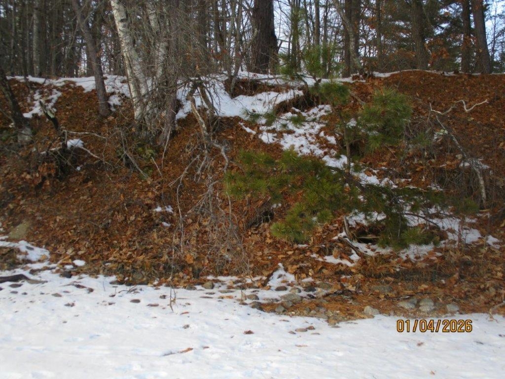 164 Leavitt Road Ossipee, NH 03814 - Photo 27 of 32