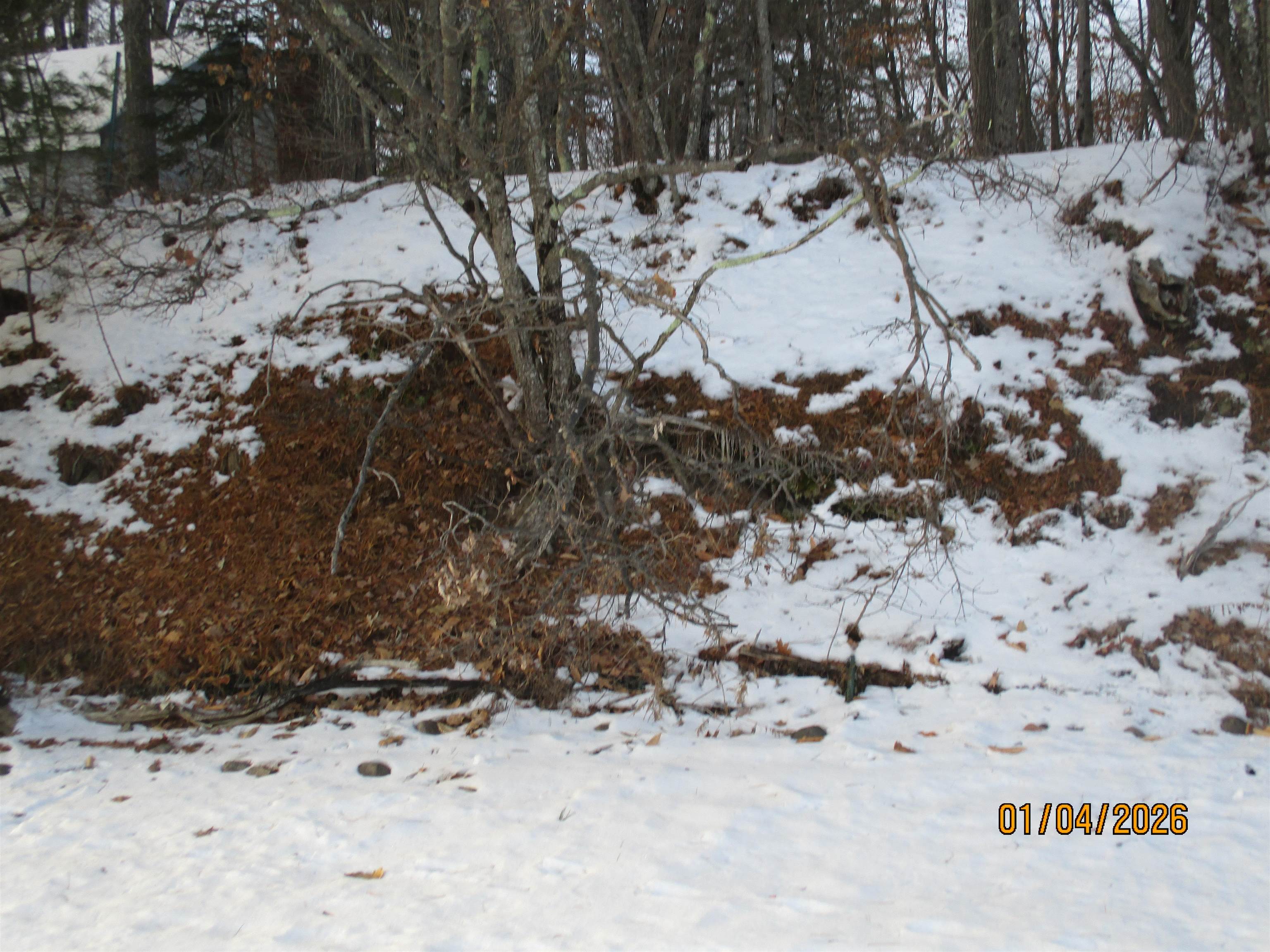 164 Leavitt Road Ossipee, NH 03814 - Photo 29 of 32