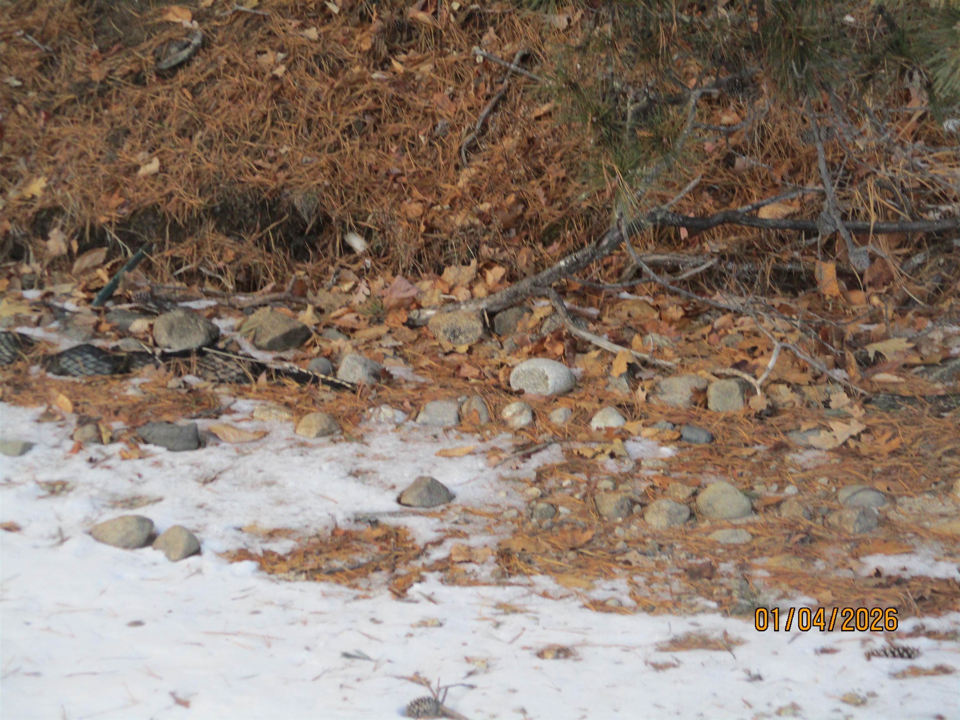 164 Leavitt Road Ossipee, NH 03814 - Photo 32 of 32