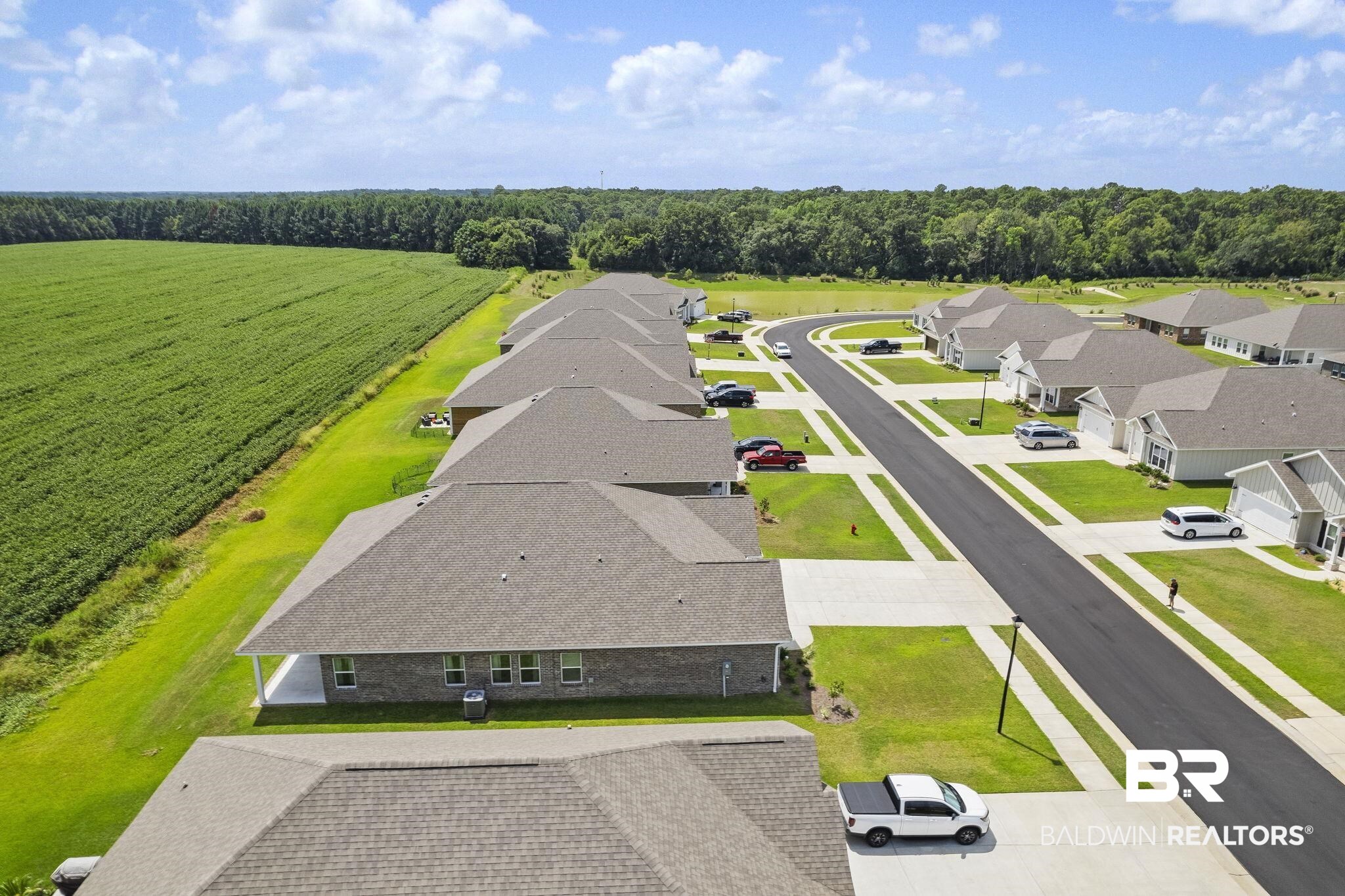 11303 Genuine Risk Circle Daphne, AL 36526 - Photo 90 of 100 Drone / aerial view