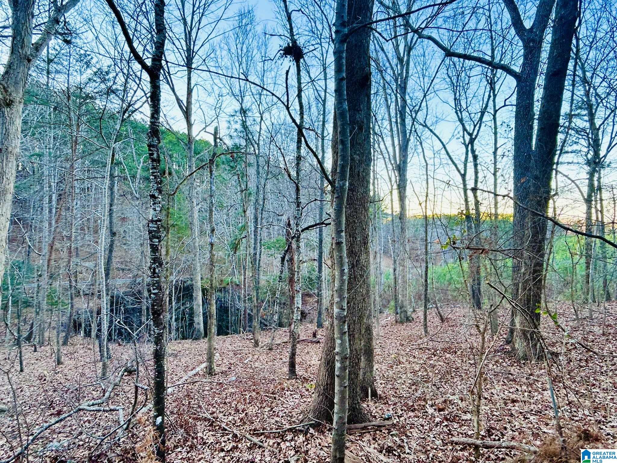 871 Meadow Ridge Drive Piedmont, AL 36272 - Photo 9 of 42