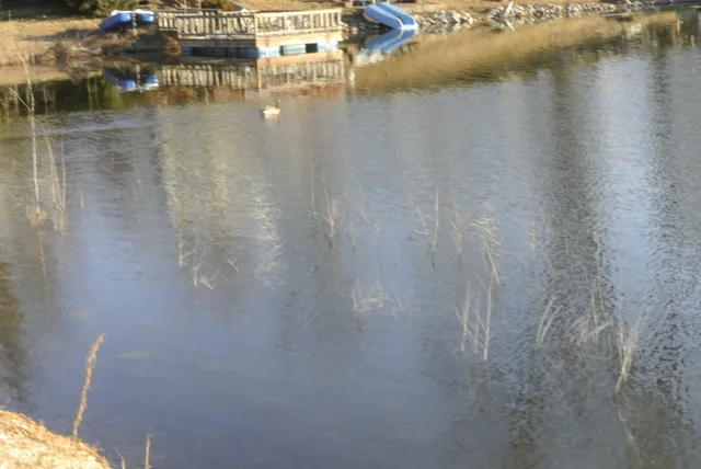 $132,000 | 5075 Van Bibber Lake Estate, Greencastle, IN 46135