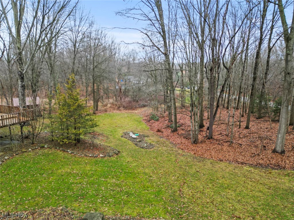 7550 South Raccoon Road Canfield, OH 44406 - Photo 25 of 32 View of yard