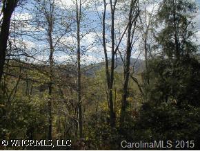 0 Big Pine Road Marshall, NC 28753 - Photo 2 of 9 a view of forest