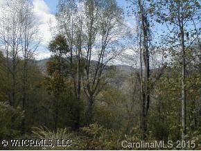0 Big Pine Road Marshall, NC 28753 - Photo 3 of 9 a view of a forest