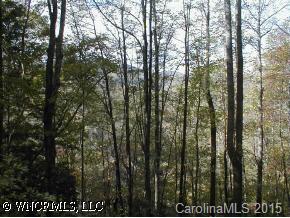 0 Big Pine Road Marshall, NC 28753 - Photo 5 of 9 a view of forest