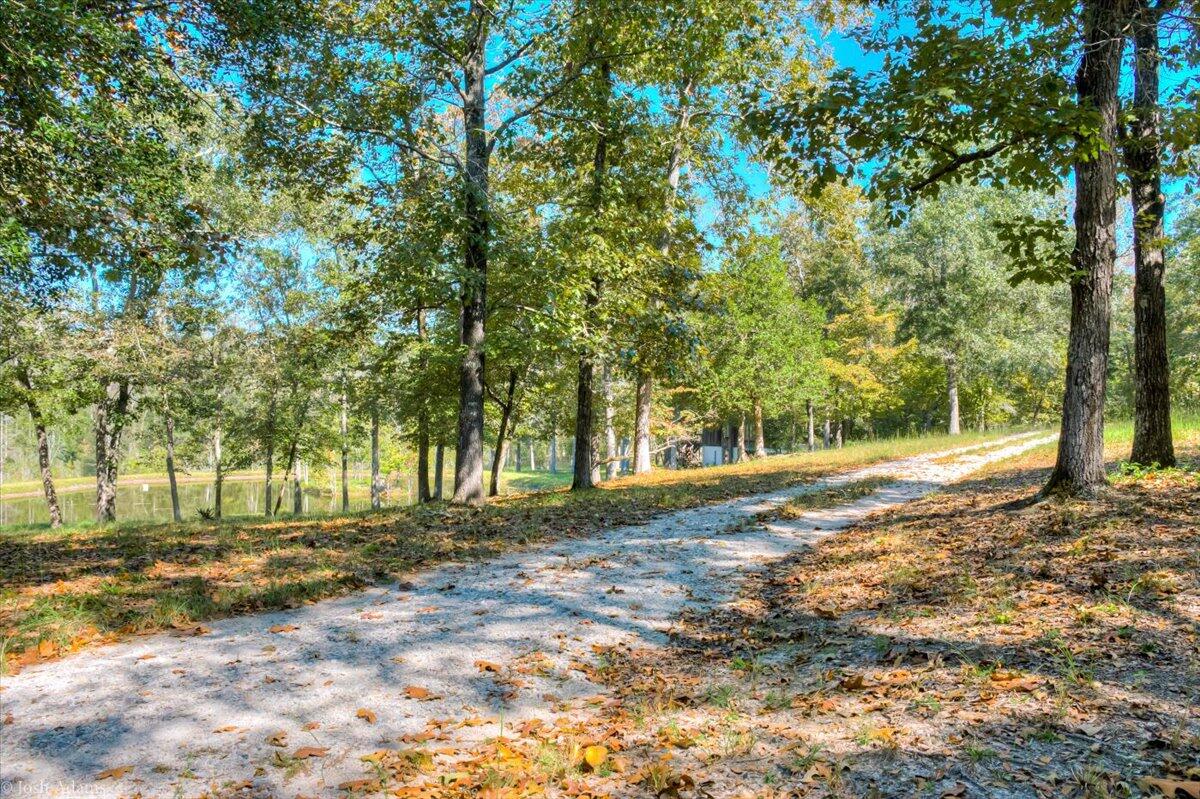 1488 Hatchaway Bridge Road Aiken, SC 29801 - Photo 53 of 65