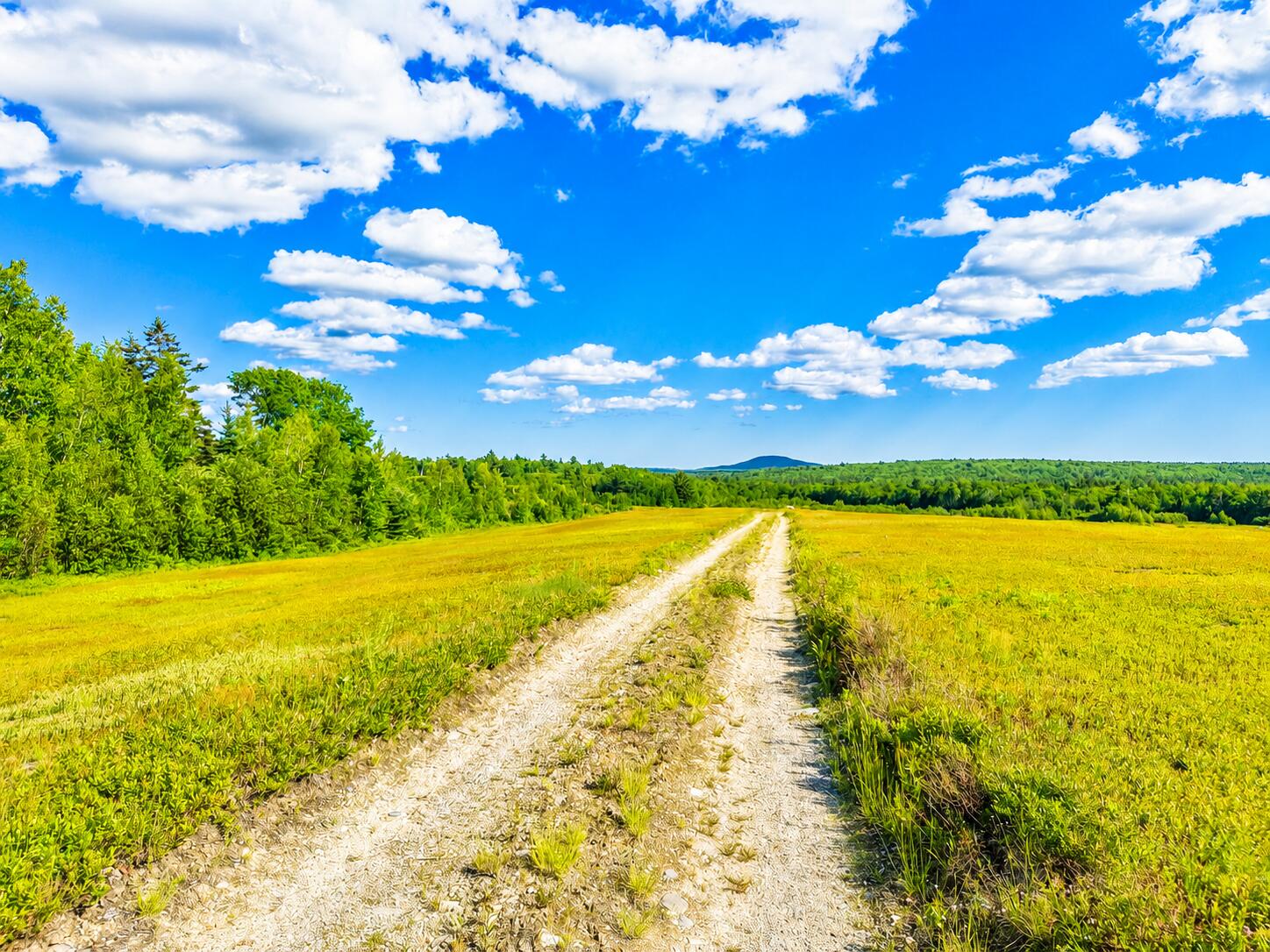 Map19-lot28 Leach Road Penobscot, ME 04476 - Photo 3 of 16 MAP19LOT28 Leach Road