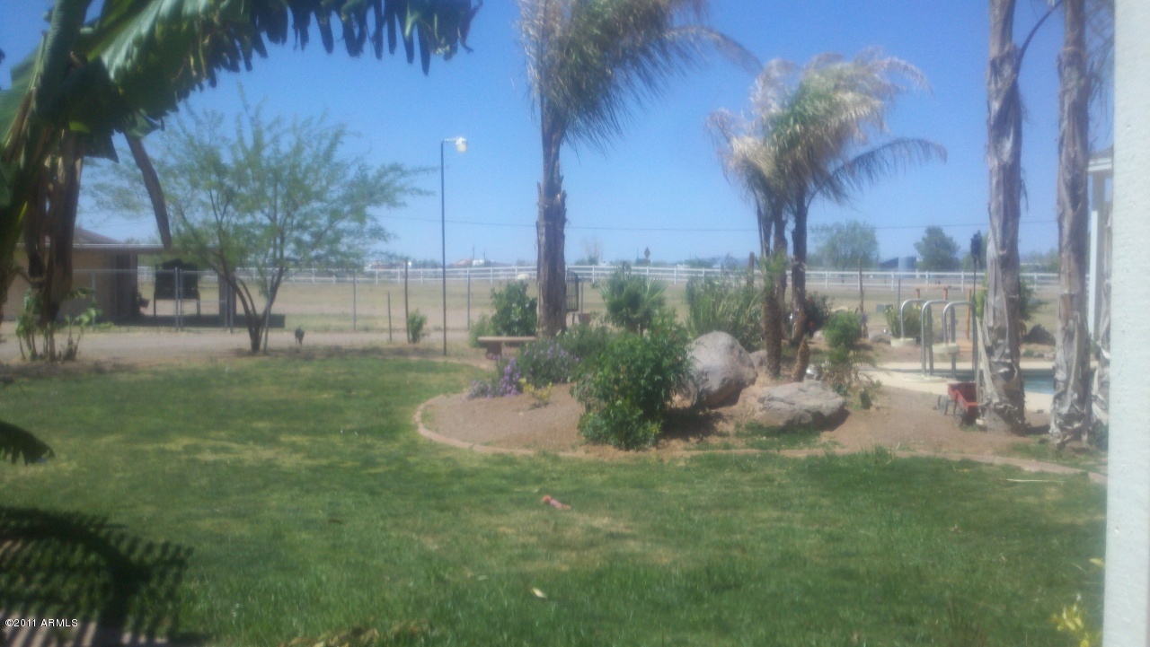 22715 West Lone Mountain Road Wittmann, AZ 85361 - Photo 4 of 15 Grassy lush backyard w/ huge palms