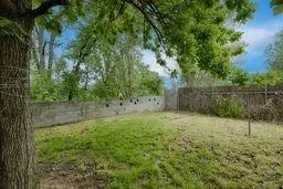 a view of a field with a tree
