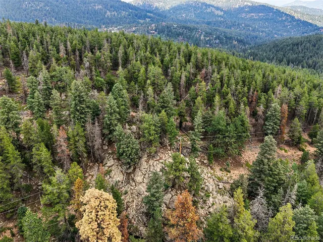 a view of a forest with a lush green forest