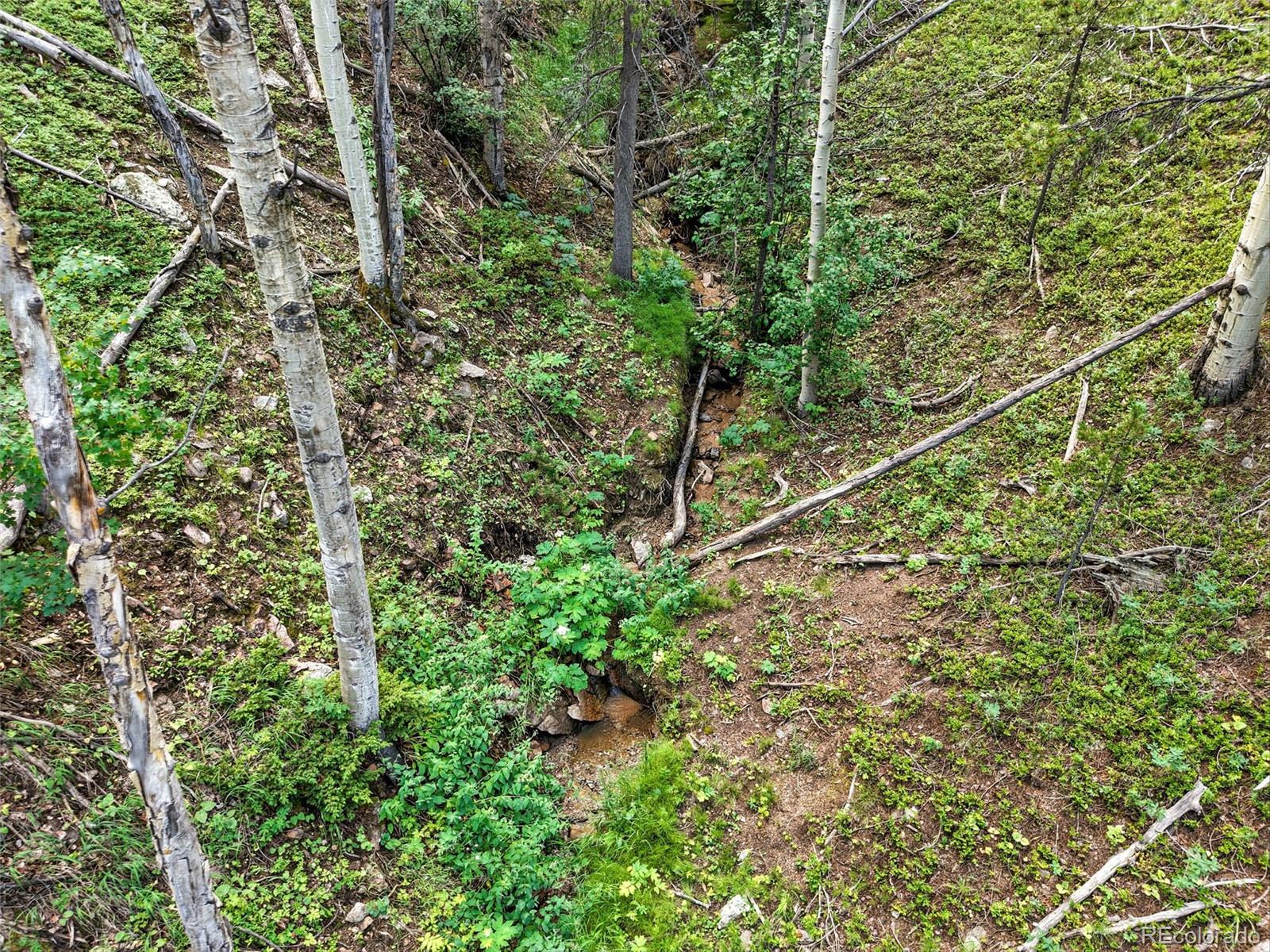 Aspen Way Evergreen, CO 80439 - Photo 17 of 24