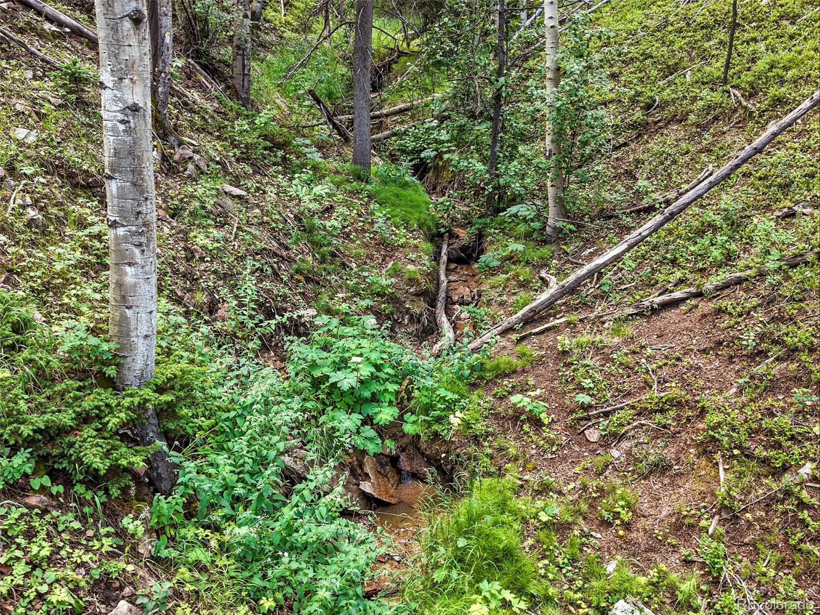 Aspen Way Evergreen, CO 80439 - Photo 18 of 24