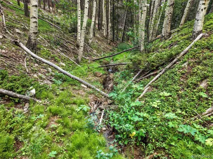 $350,000 | Aspen Way, Evergreen, CO 80439