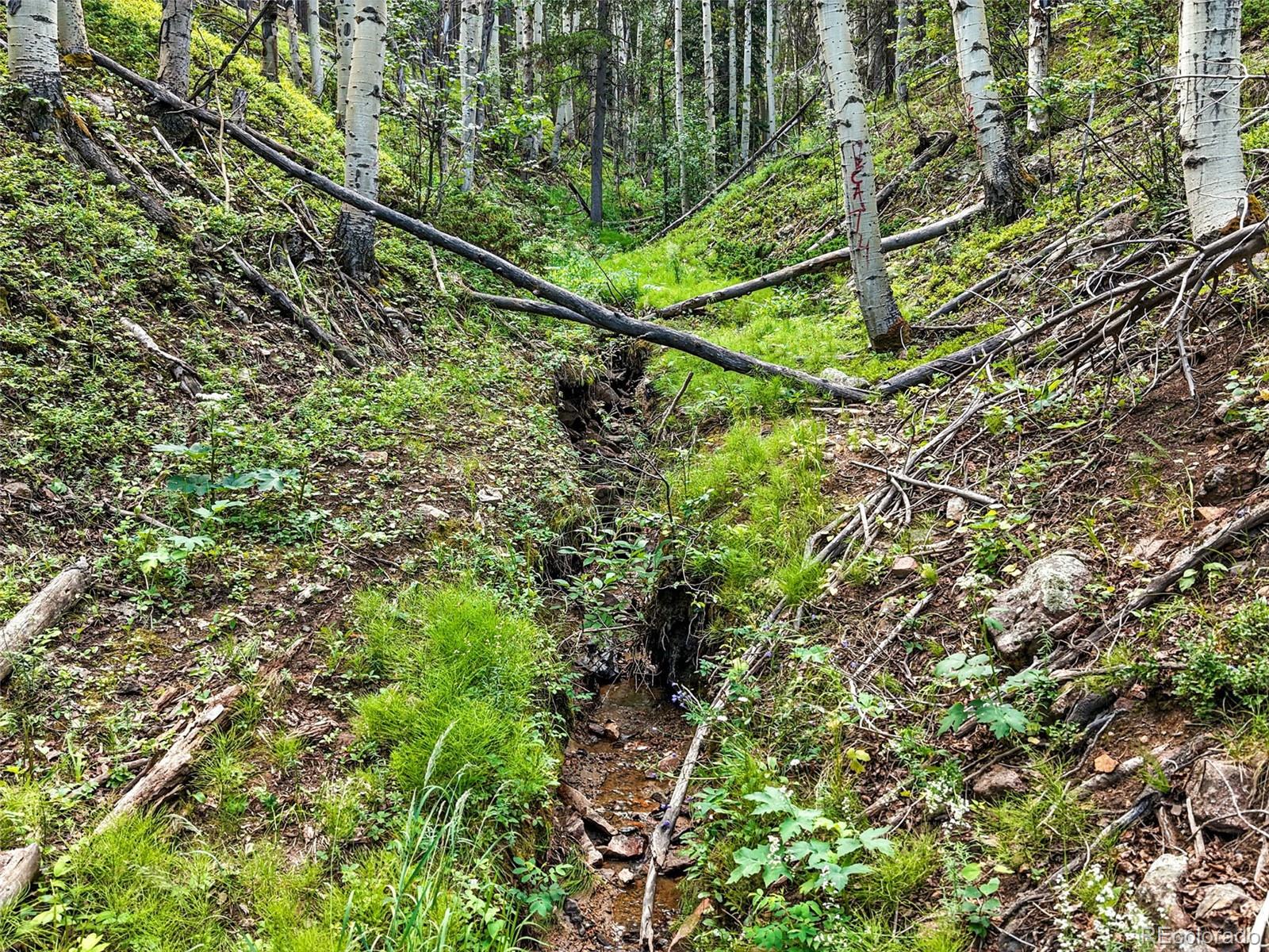 Aspen Way Evergreen, CO 80439 - Photo 21 of 24